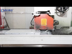 Εμφάνιση στο εργαστήριο παραγωγής μούχλας